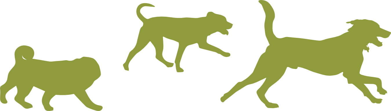 Dogs playing